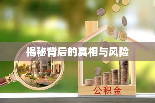 北湖揭秘背后的真相与风险
