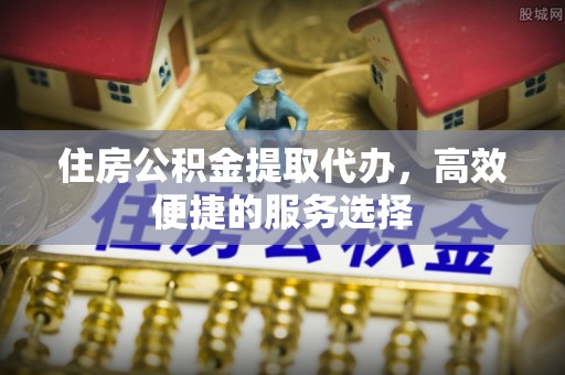 北湖住房公积金提取代办，高效便捷的服务选择