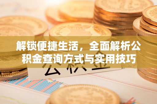 北湖解锁便捷生活，全面解析公积金查询方式与实用技巧
