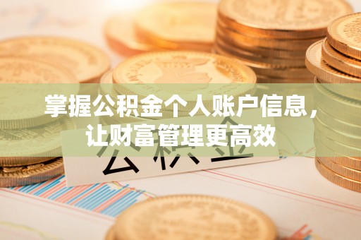 北湖掌握公积金个人账户信息，让财富管理更高效