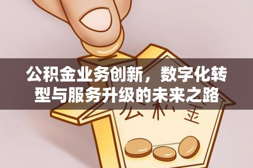 北湖公积金业务创新，数字化转型与服务升级的未来之路