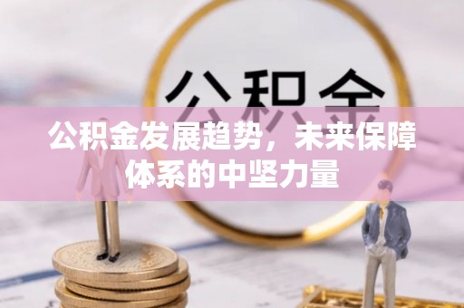 北湖公积金发展趋势，未来保障体系的中坚力量