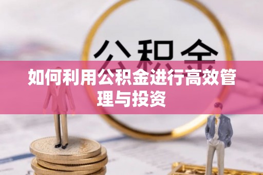 北湖如何利用公积金进行高效管理与投资