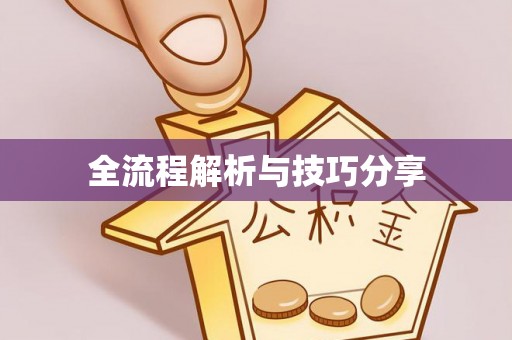 北湖全流程解析与技巧分享